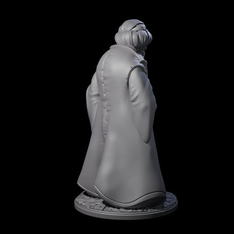 Cunning Human Merchant Miniature for Dungeons and Dragons, Pathfinder or other TTRPGs
