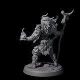 Cunning Northmen Rogues and Wizard D Miniature for Dungeons and Dragons, Pathfinder or other TTRPGs