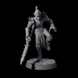 Deadly Babau E Miniature for Dungeons and Dragons, Pathfinder or other TTRPGs