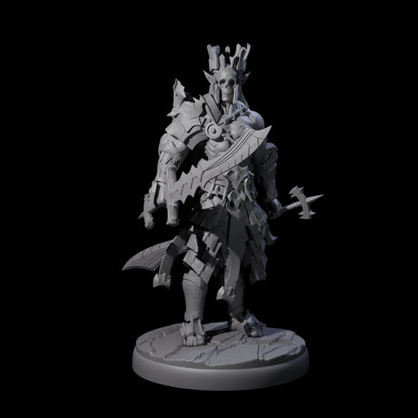 Deadly Dark Elf Marauder D Miniature for Dungeons and Dragons, Pathfinder or other TTRPGs