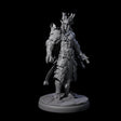 Deadly Dark Elf Marauder E Miniature for Dungeons and Dragons, Pathfinder or other TTRPGs