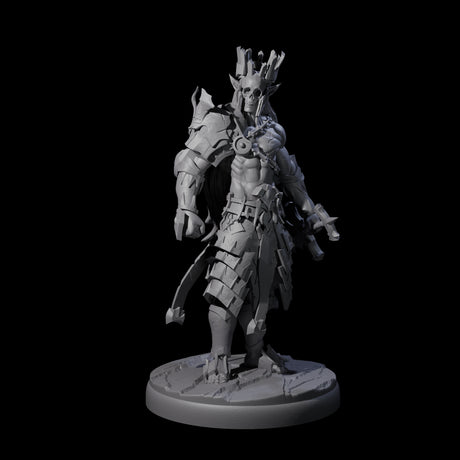 Deadly Dark Elf Marauder E Miniature for Dungeons and Dragons, Pathfinder or other TTRPGs