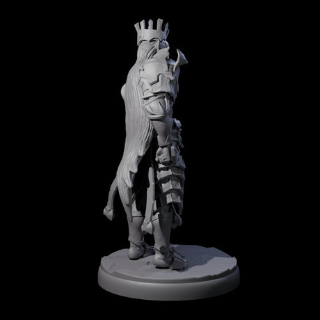 Deadly Dark Elf Marauder F Miniature for Dungeons and Dragons, Pathfinder or other TTRPGs