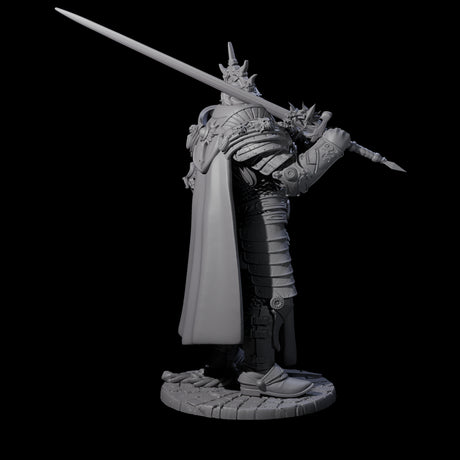 Deadly Royal Champion Miniature for Dungeons and Dragons, Pathfinder or other TTRPGs