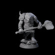Deformed Ogre J Miniature for Dungeons and Dragons, Pathfinder or other TTRPGs