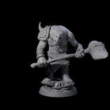 Deformed Ogre J Miniature for Dungeons and Dragons, Pathfinder or other TTRPGs