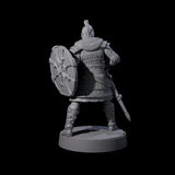 Desert Mercenary E Miniature for Dungeons and Dragons, Pathfinder or other TTRPGs