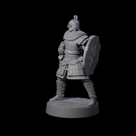 Desert Mercenary E Miniature for Dungeons and Dragons, Pathfinder or other TTRPGs