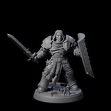 Determined Paladin Warrior A Miniature for Dungeons and Dragons, Pathfinder or other TTRPGs