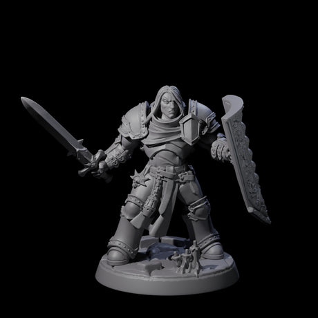 Determined Paladin Warrior A Miniature for Dungeons and Dragons, Pathfinder or other TTRPGs