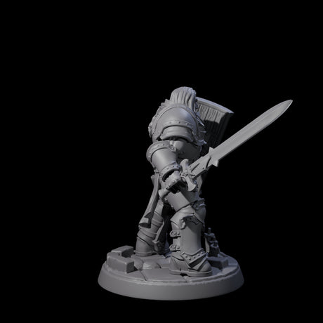 Determined Paladin Warrior A Miniature for Dungeons and Dragons, Pathfinder or other TTRPGs