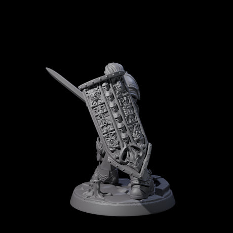 Determined Paladin Warrior A Miniature for Dungeons and Dragons, Pathfinder or other TTRPGs