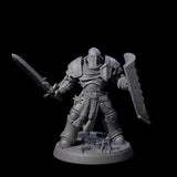 Determined Paladin Warrior A Miniature for Dungeons and Dragons, Pathfinder or other TTRPGs