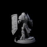 Determined Paladin Warrior A Miniature for Dungeons and Dragons, Pathfinder or other TTRPGs