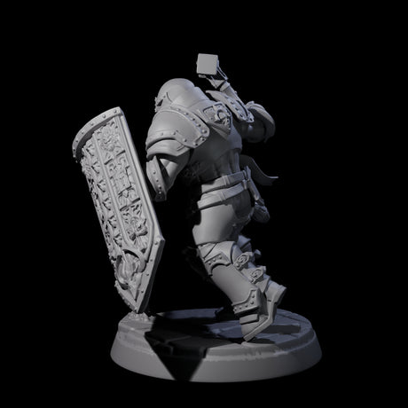 Determined Paladin Warrior C Miniature for Dungeons and Dragons, Pathfinder or other TTRPGs