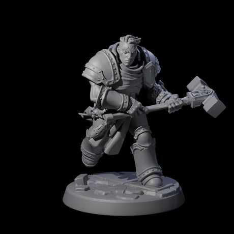 Determined Paladin Warrior D Miniature for Dungeons and Dragons, Pathfinder or other TTRPGs