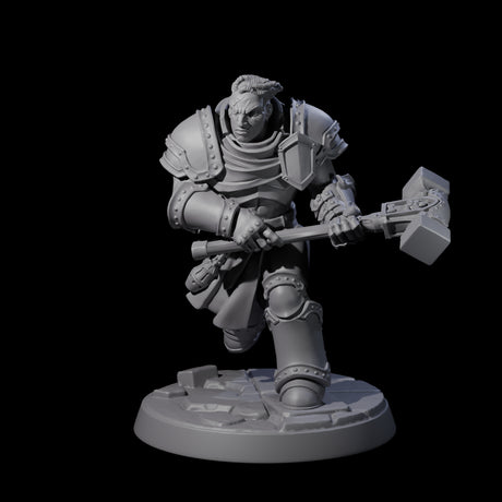 Determined Paladin Warrior D Miniature for Dungeons and Dragons, Pathfinder or other TTRPGs