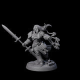 Determined Paladin Warrior E Miniature for Dungeons and Dragons, Pathfinder or other TTRPGs