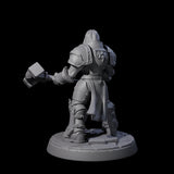 Determined Paladin Warrior F Miniature for Dungeons and Dragons, Pathfinder or other TTRPGs