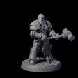 Determined Paladin Warrior F Miniature for Dungeons and Dragons, Pathfinder or other TTRPGs