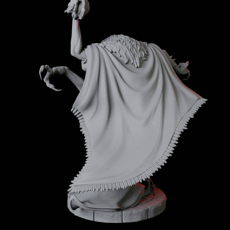 Disguised Quelaunt A Miniature for Dungeons and Dragons, Pathfinder or other TTRPGs