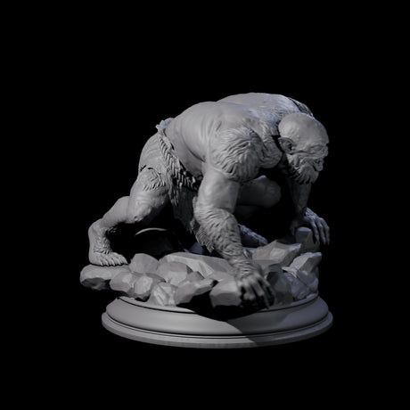 Disgusting Troglodyte C Miniature for Dungeons and Dragons, Pathfinder or other TTRPGs