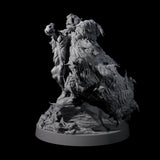 Dog Mad Countess Miniature for Dungeons and Dragons, Pathfinder or other TTRPGs
