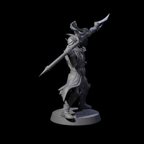 Dragon Spearman C Miniature for Dungeons and Dragons, Pathfinder or other TTRPGs