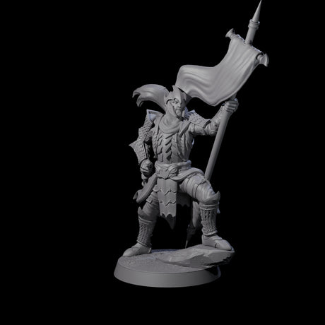 Dragon Spearman G Miniature for Dungeons and Dragons, Pathfinder or other TTRPGs