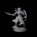 Dragon Spearman H Miniature for Dungeons and Dragons, Pathfinder or other TTRPGs