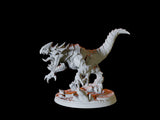 Drake Miniature for Dungeons and Dragons, Pathfinder or other TTRPGs