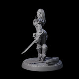 Drow Swordmaster Pin-up Miniature for Dungeons and Dragons, Pathfinder or other TTRPGs