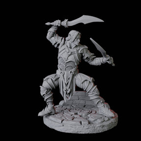 Two Dual Wielding Swordsman B Miniature for Dungeons and Dragons, Pathfinder or other TTRPGs