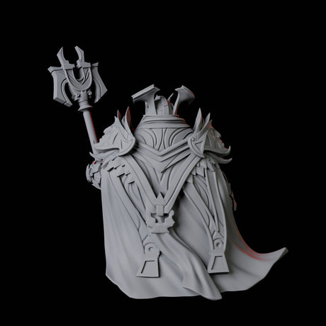 Dwarf High King Miniature for Dungeons and Dragons, Pathfinder or other TTRPGs