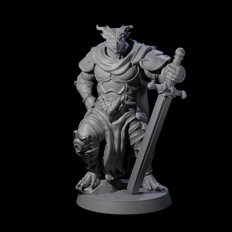 Eight Valiant Dragonborn Crusaders Miniature for Dungeons and Dragons, Pathfinder or other TTRPGs