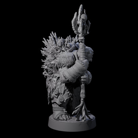 Elderly Tortle Mage Miniature for Dungeons and Dragons, Pathfinder or other TTRPGs