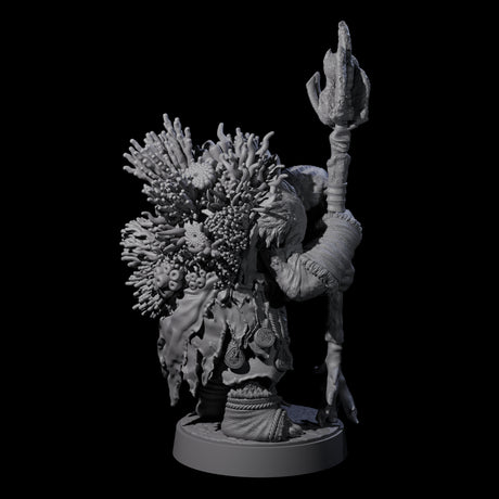 Elderly Tortle Mage Miniature for Dungeons and Dragons, Pathfinder or other TTRPGs