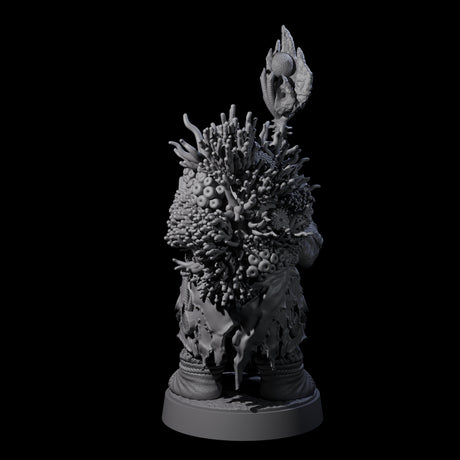 Elderly Tortle Mage Miniature for Dungeons and Dragons, Pathfinder or other TTRPGs