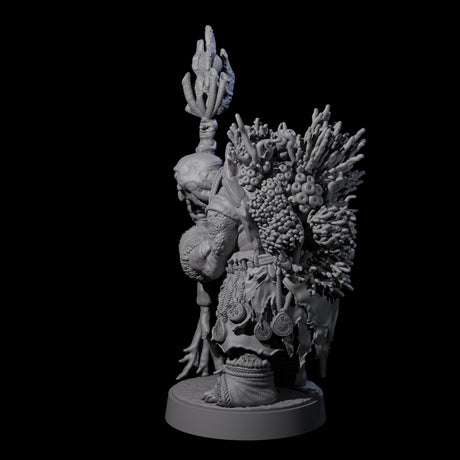 Elderly Tortle Mage Miniature for Dungeons and Dragons, Pathfinder or other TTRPGs