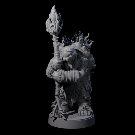 Elderly Tortle Mage Miniature for Dungeons and Dragons, Pathfinder or other TTRPGs
