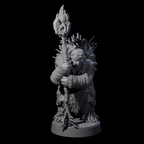 Elderly Tortle Mage Miniature for Dungeons and Dragons, Pathfinder or other TTRPGs