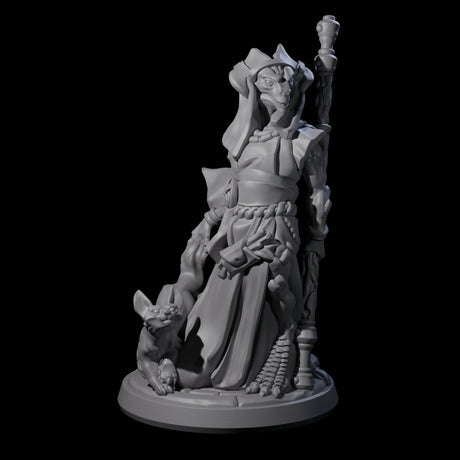 Elegant Dragonborn Druid Miniature for Dungeons and Dragons, Pathfinder or other TTRPGs