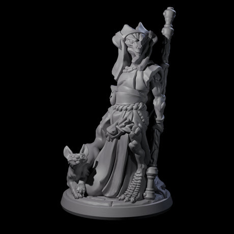 Elegant Dragonborn Druid Miniature for Dungeons and Dragons, Pathfinder or other TTRPGs