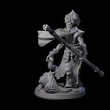 Elegant Dragonborn Druid Miniature for Dungeons and Dragons, Pathfinder or other TTRPGs