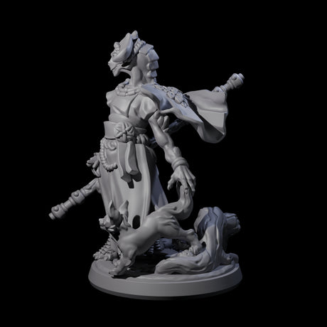 Elegant Dragonborn Druid Miniature for Dungeons and Dragons, Pathfinder or other TTRPGs