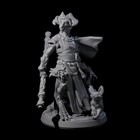 Elegant Dragonborn Druid Miniature for Dungeons and Dragons, Pathfinder or other TTRPGs