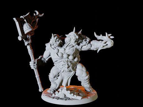 Ettin Sorcerer Miniature for Dungeons and Dragons, Pathfinder or other TTRPGs