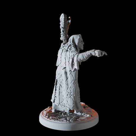 Evil Druid Miniature for Dungeons and Dragons, Pathfinder or other TTRPGs