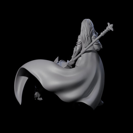 Experienced Lance Fighter Miniature for Dungeons and Dragons, Pathfinder or other TTRPGs