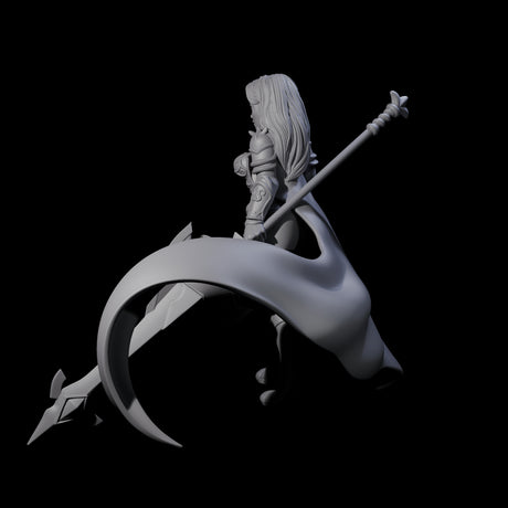 Experienced Lance Fighter Miniature for Dungeons and Dragons, Pathfinder or other TTRPGs